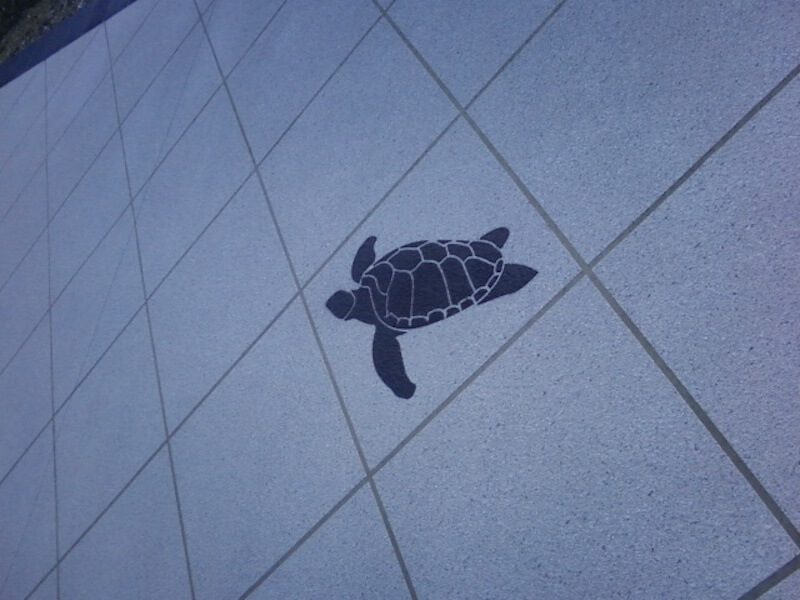 patterned concrete with turtle images